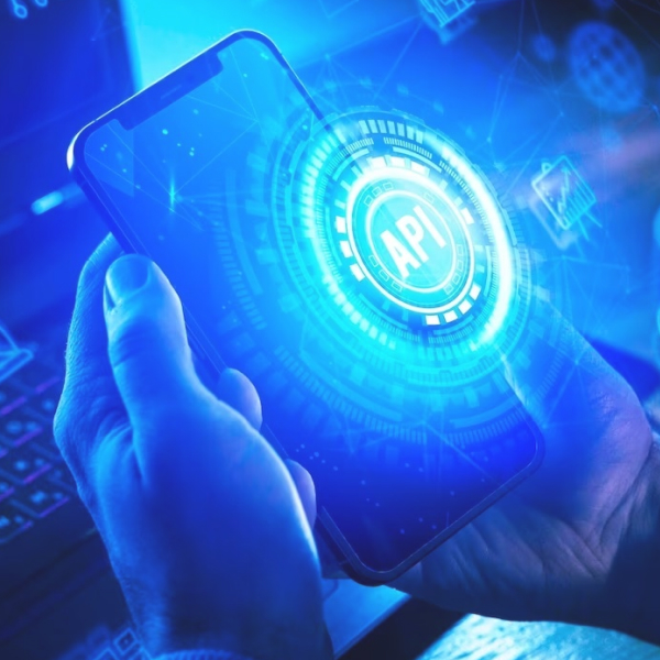 api-development-web-app-development-bmv-system-integration