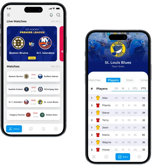 banner-ice-hockey-application-portfolio-bmv-system-integration