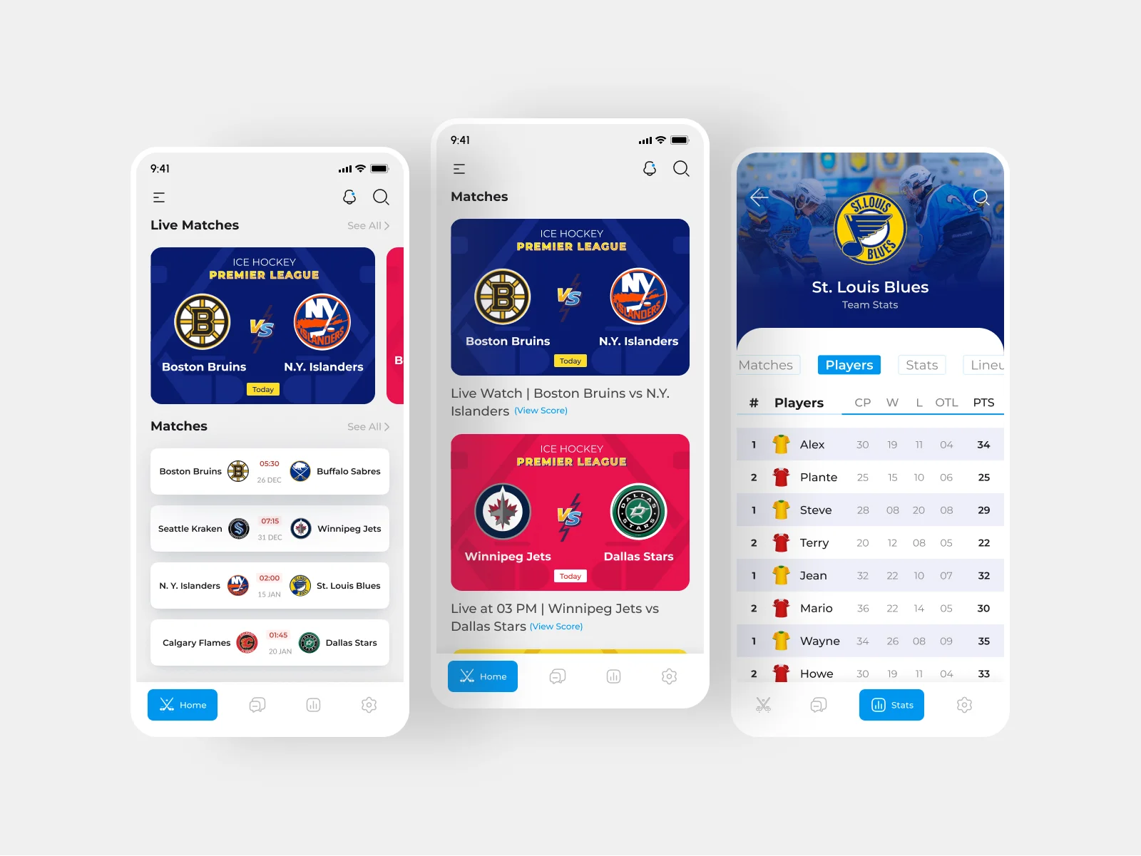slider-1-ice-hockey-application-portfolio-bmv-system-integration