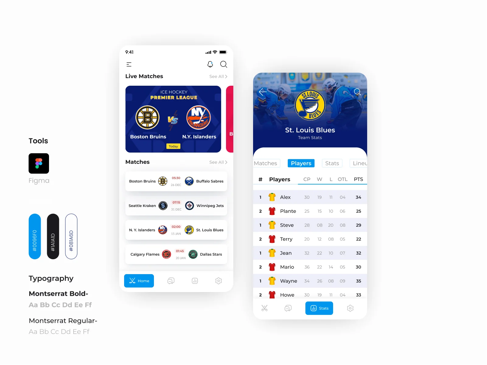 slider-3-ice-hockey-application-portfolio-bmv-system-integration
