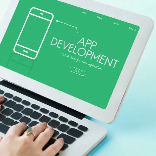 native-app-development-overviews-bmv-system-integration